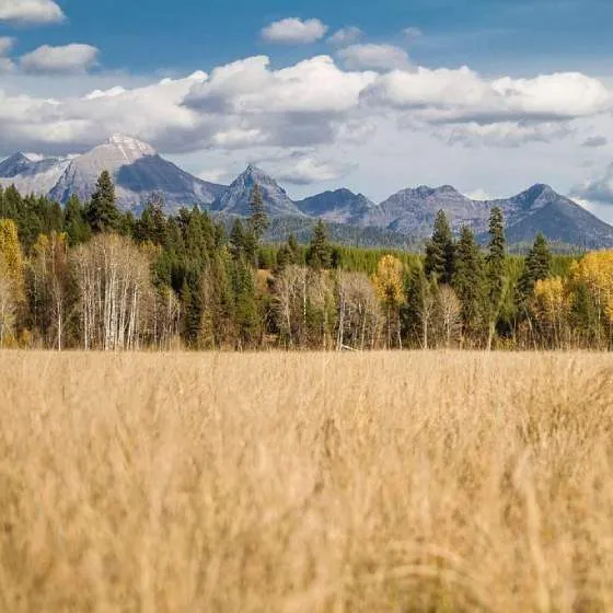 Mountains and prairies in Montana.