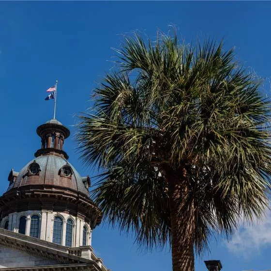 A palm tree in front of the South Carolina capitol building.