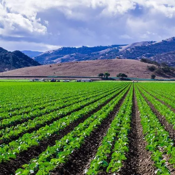 A farm field in a California valley, surrounded by mountains.