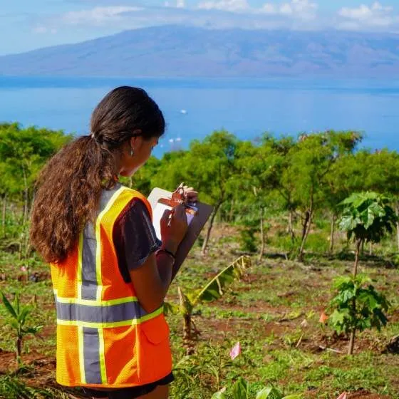 A Hawaii Public Health Institute community health worker writes on a clipboard while on a study site.