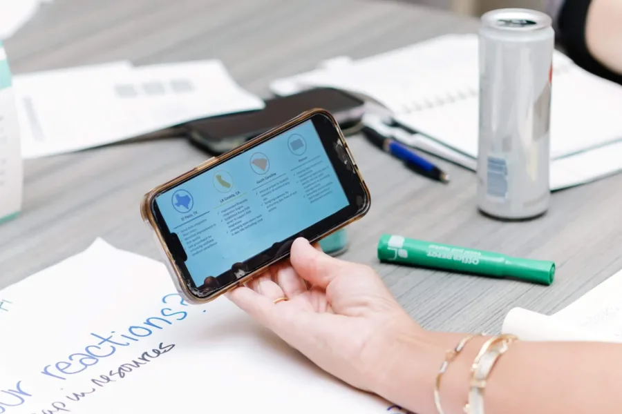 A DMI Workshop Attendee compares progress across states.