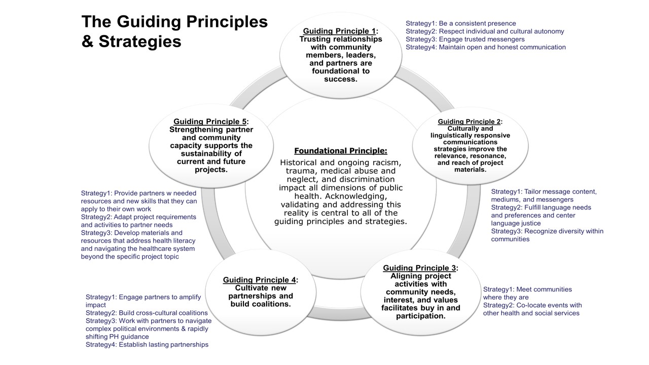 Guiding Principles & Strategies